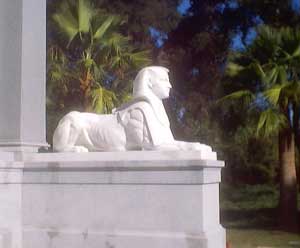 Stanford lion
