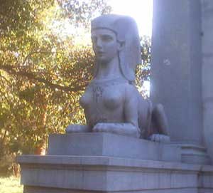 Stanford lioness